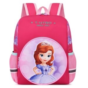 School Bag